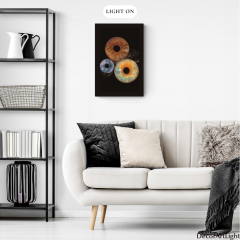 Radiant Iris Acrylic Wall Art DLPE02