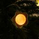 colorful-candy-led-christmas-ornament-multicolor-glow-dlgs03
