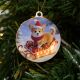 led-dog-in-sled-winter-ornament-dlgs19
