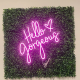 Hello Gorgeous Neon Sign Art for Interior Wall Decor